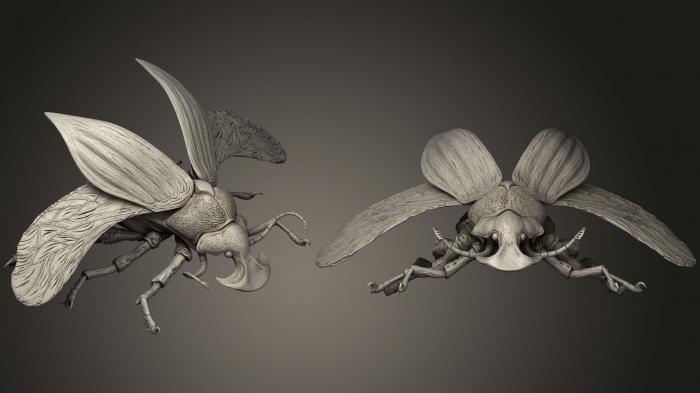 Insects (INSCT_0037) 3D model for CNC machine